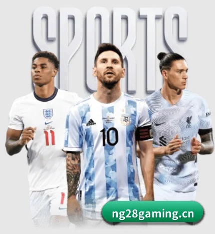 南宫28 APP（NG28）